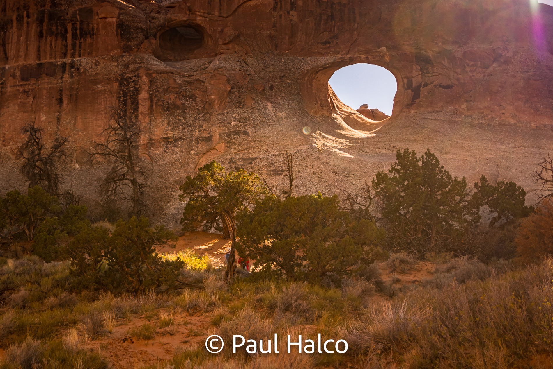 Paul Halco - Arches NP-26